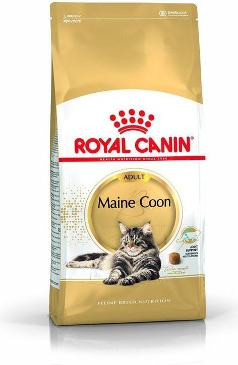 Royal Canin Meini tõugu kassidele, 10 kg цена и информация | Kuivtoit kassidele | kaup24.ee