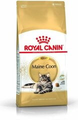 Royal Canin для породы кошек Мейн Кун, 4 кг цена и информация | Сухой корм для кошек | kaup24.ee