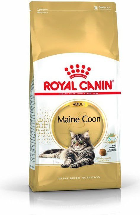 Royal Canin Meini kassi tõule, 4 kg цена и информация | Kuivtoit kassidele | kaup24.ee