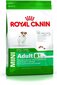 Royal Canin väikestele eakatele koertele Mini Adult +8, 2 kg цена и информация | Kuivtoit koertele | kaup24.ee