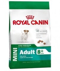 Royal Canin väikestele eakatele koertele Mini Adult 8 +, 0,8 kg цена и информация | Сухой корм для собак | kaup24.ee