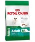 Royal Canin väikestele eakatele koertele Mini Adult 8 +, 0,8 kg цена и информация | Kuivtoit koertele | kaup24.ee