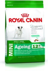 Royal Canin eakatele koertele Mini Ageing 12+, 0.8 kg цена и информация | Сухой корм для собак | kaup24.ee