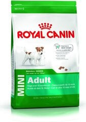 Royal Canin väikest tõugu koertele Mini Adult, 4 kg цена и информация | Сухой корм для собак | kaup24.ee