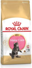 Royal Canin Meini tõugu kassipoegadele, 10 kg цена и информация | Сухой корм для кошек | kaup24.ee