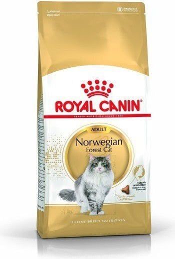 Royal Canin Norra metskassi tõule Norvegian, 0,4 kg hind ja info | Kuivtoit kassidele | kaup24.ee
