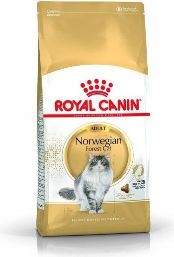Royal Canin Norra metskassidele Norvegian, 2 kg hind ja info | Kuivtoit kassidele | kaup24.ee