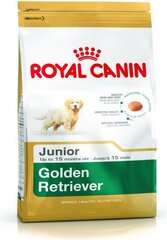 Kuivtoit Royal Canin kuldse retriiveri kutsikatele Junior, 3 kg цена и информация | Сухой корм для собак | kaup24.ee