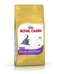 Royal Canin для короткошерстных Британских котят, 0,4 кг цена и информация | Сухой корм для кошек | kaup24.ee