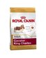 Royal Canin Cavalier king charles tõukoertele Adult, 1,5 kg цена и информация | Kuivtoit koertele | kaup24.ee