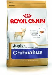 Royal Canin chihuahua tõugu koertele Junior, 0,5 kg цена и информация | Сухой корм для собак | kaup24.ee