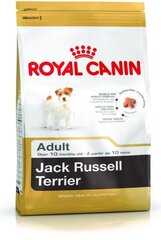 Koeratoit Jack Russell terjer tõugu koertele Royal Canin Adult, 0,5 kg цена и информация | Сухой корм для собак | kaup24.ee