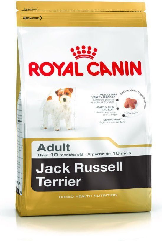 Koeratoit Jack Russell terjer tõugu koertele Royal Canin Adult, 0,5 kg цена и информация | Kuivtoit koertele | kaup24.ee