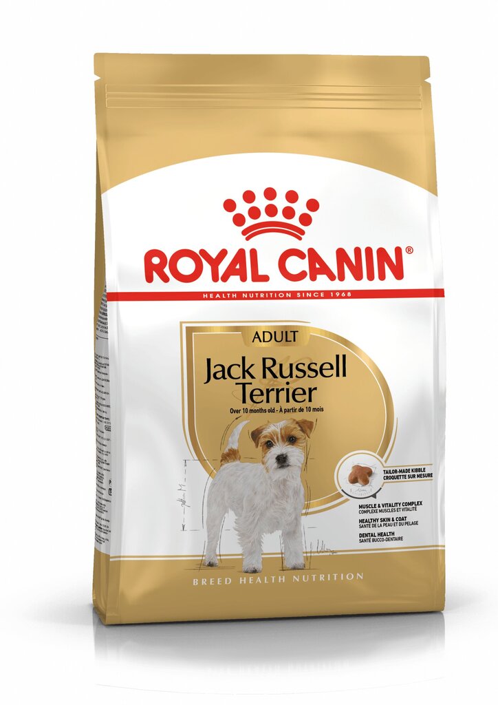 Royal Canin Jack Russelli terjeri tõugu koertele Adult, 1,5 kg hind ja info | Kuivtoit koertele | kaup24.ee