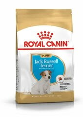 Royal Canin Jack Russelli terjerite tõule Junior, 1,5 kg hind ja info | Kuivtoit koertele | kaup24.ee