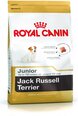 Royal Canin Jack Russelli terjerite tõule Junior, 1,5 kg