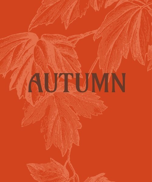 Autumn hind ja info | Kunstiraamatud | kaup24.ee