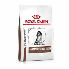 Royal Canin для лучшего пищеварения Dog gastro intestinal junior, 2,5 кг цена и информация | Сухой корм для собак | kaup24.ee