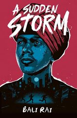 Sudden Storm hind ja info | Noortekirjandus | kaup24.ee
