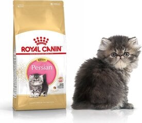 Royal Canin корм для котят породы Персидские, 0,4 кг цена и информация | Сухой корм для кошек | kaup24.ee