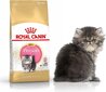 Royal Canin Pärsia tõugu kassipoegadele, 0,4 kg hind ja info | Kuivtoit kassidele | kaup24.ee