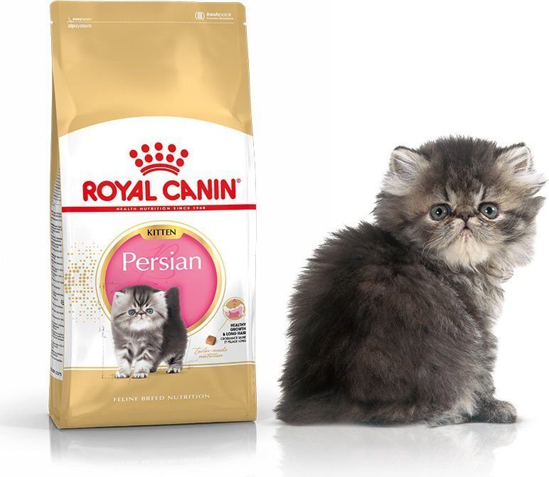 Kassitoit Pärsia tõugu kassipoegadele Royal Canin, 2 kg цена и информация | Kuivtoit kassidele | kaup24.ee