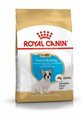 Royal Canin Prantsuse buldogi tõugu koertele Junior, 3 kg