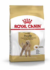 Royal Canin корм для собак породы пудель Adult, 1,5 кг цена и информация | Сухой корм для собак | kaup24.ee