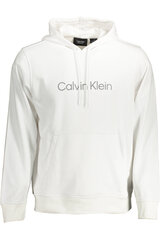 Джемпер для мужчин Calvin Klein, белый цена и информация | Мужские толстовки | kaup24.ee