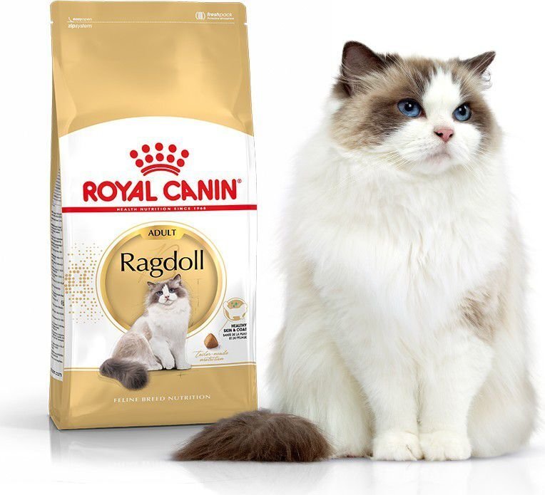 Royal Canin tõukassidele Adult, 2 kg цена и информация | Kuivtoit kassidele | kaup24.ee
