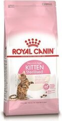 Royal Canin steriliseeritud kasipoegadele Kitten sterilised, 0,4 kg цена и информация | Сухой корм для кошек | kaup24.ee