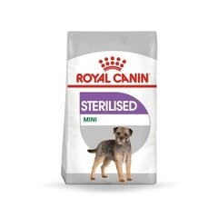 Royal Canin steriliseeritud koertele Mini sterilised, 8 kg цена и информация | Сухой корм для собак | kaup24.ee