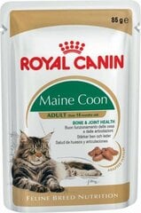 Royal Canin корм для взрослых кошек породы Мейн Кун, 12 x 85 г цена и информация | Кошачьи консервы | kaup24.ee