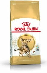 Royal Canin корм для взрослых кошек породы Бенгальские Adult, 2 кг цена и информация | Сухой корм для кошек | kaup24.ee