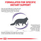 Kuivtoit Royal Canin täiskasvanud stressile vastuvõtlikele kassidele Cat calm feline, 2 kg hind ja info | Kuivtoit kassidele | kaup24.ee