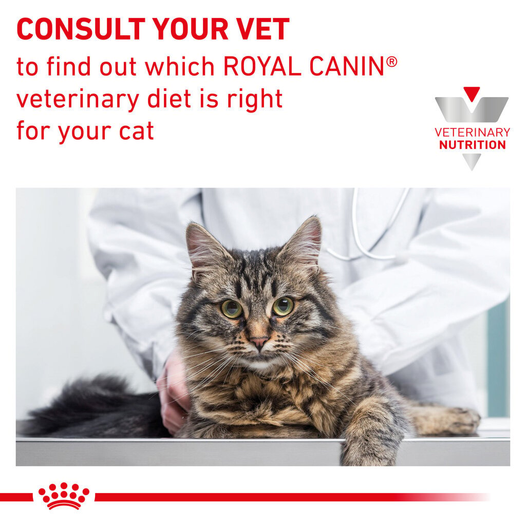 Kuivtoit Royal Canin täiskasvanud stressile vastuvõtlikele kassidele Cat calm feline, 2 kg hind ja info | Kuivtoit kassidele | kaup24.ee