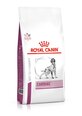 Kuivtoit Royal Canin südamepuudulikkusega koertele Dog early cardiac, 2 kg