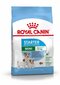 Royal Canin kutsikatele kuni 2 kuud, tiinetele ja imetavatele koertele, 1 kg hind ja info | Kuivtoit koertele | kaup24.ee