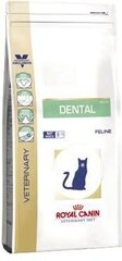 Kuivtoit Royal Canin tervete hammastega kassidele Cat dental, 3 kg hind ja info | Kuivtoit kassidele | kaup24.ee
