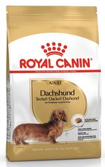 Kuivtoit Royal Canin taksikoertele Adult, 1,5 kg hind ja info | Royal Canin Lemmikloomatarbed | kaup24.ee