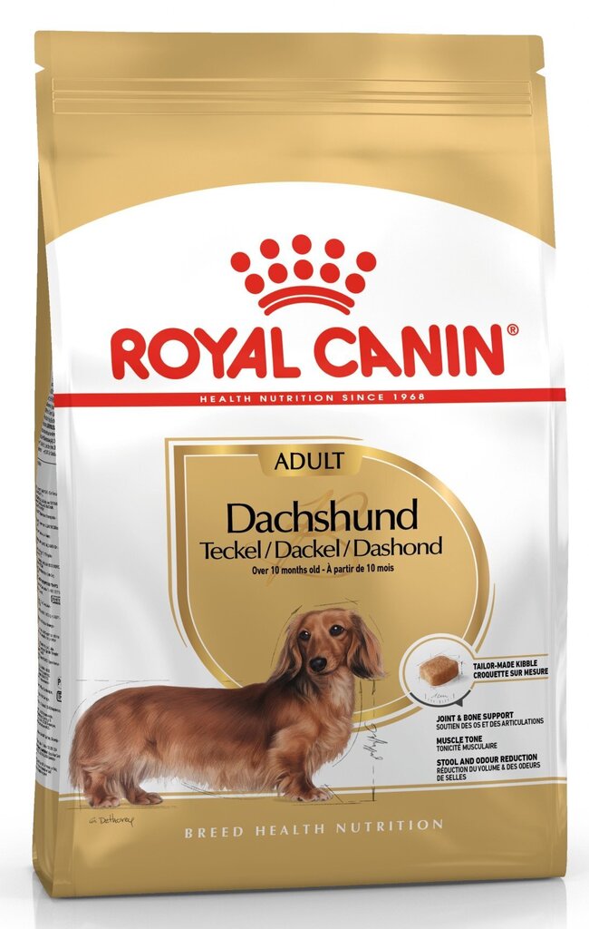 Kuivtoit Royal Canin taksikoertele Adult, 1,5 kg hind ja info | Kuivtoit koertele | kaup24.ee