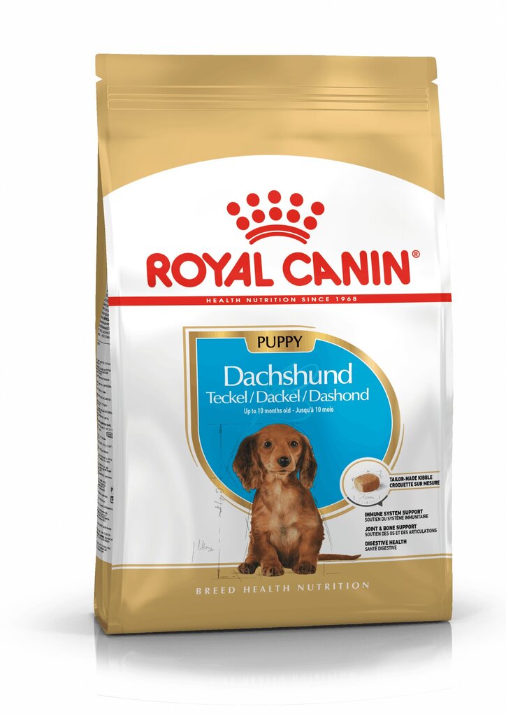 Kuivtoit Royal Canin taksikoertele Junior, 1,5 kg hind ja info | Kuivtoit koertele | kaup24.ee