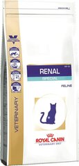 Royal Canin neeruprobleemidega kassidele Renal Feline, 4 kg hind ja info | Kuivtoit kassidele | kaup24.ee