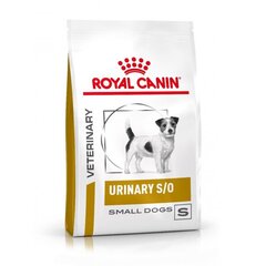 Kuivtoit Royal Canin neeruprobleemidega väikestele koeratõugudele Dog urinary small, 1,5 kg hind ja info | Kuivtoit koertele | kaup24.ee