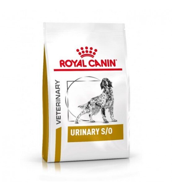 Royal Canin neeruprobleemidega koertele Dog urinary, 2 kg цена и информация | Kuivtoit koertele | kaup24.ee