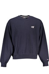 ДЖЕМПЕР TOMMY HILFIGER DM0DM16796 цена и информация | Мужские толстовки | kaup24.ee