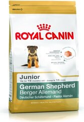 Kuivtoit Royal Canin Saksa lambakoera kutsikatele Junior, 3 kg цена и информация |  Сухой корм для собак | kaup24.ee