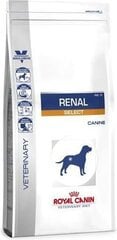 Royal Canine корм для собак с проблемами почек Renal Select Canine, 10 кг цена и информация | Сухой корм для собак | kaup24.ee