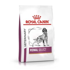 Royal Canin neerupuudulikkusega koertele Renal Select Canine, 2 kg hind ja info | Kuivtoit koertele | kaup24.ee