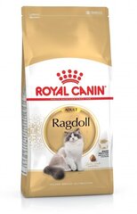 Royal Canin для кошек породы Ragdoll, 10 кг цена и информация | Сухой корм для кошек | kaup24.ee